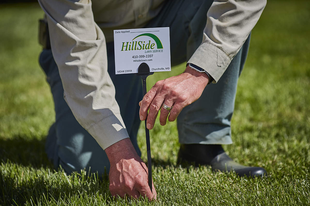 Essential Program Hillside Lawn Care