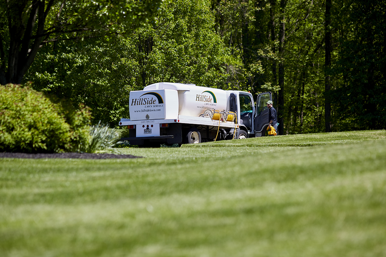 Economy Program Hillside Lawn Care