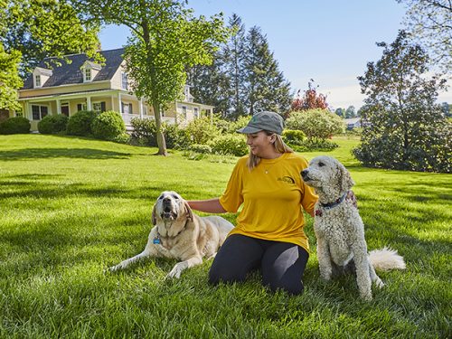 Hillside_mosquito_control