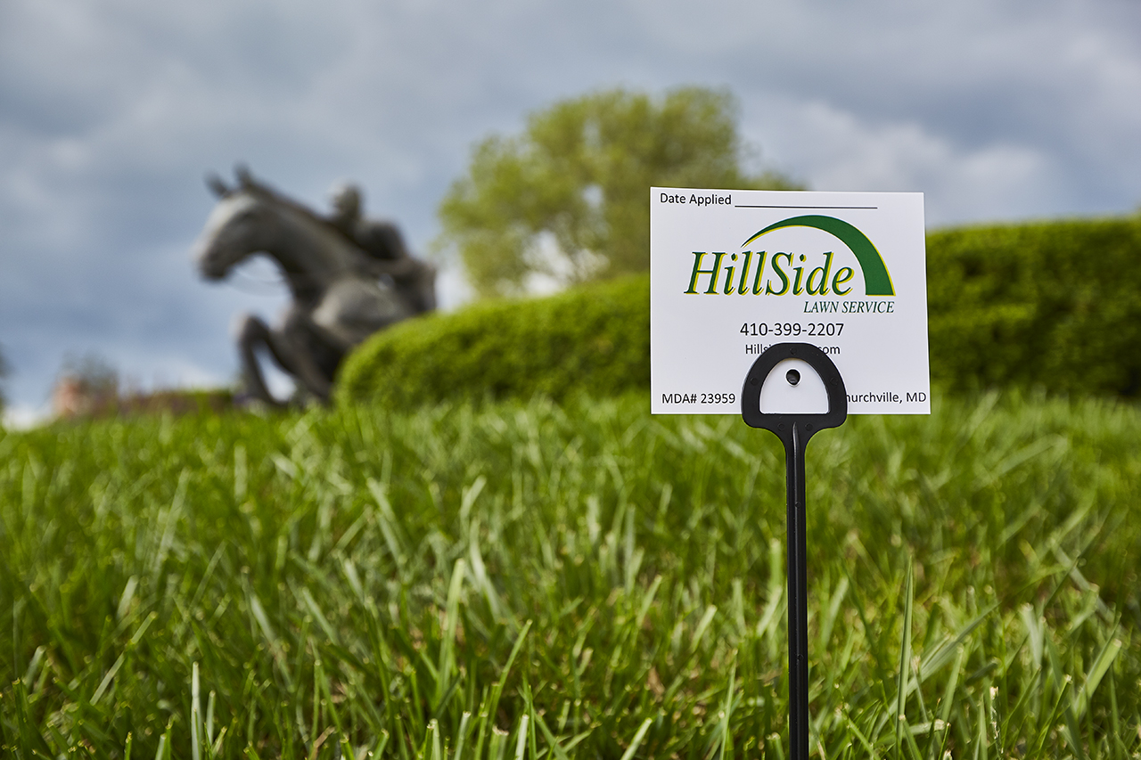 Drought and Summer Heat Help Your Lawn Survive Hillside Lawn Care