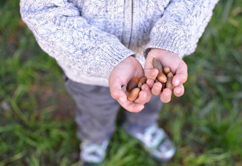 Child_Holding_Acorns