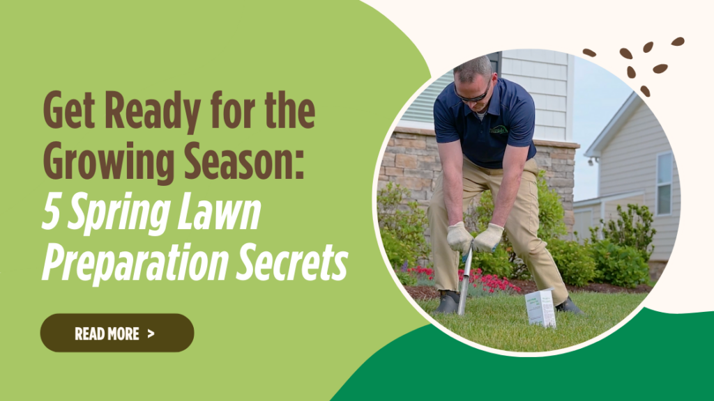 5 Spring Lawn Preparation Secrets