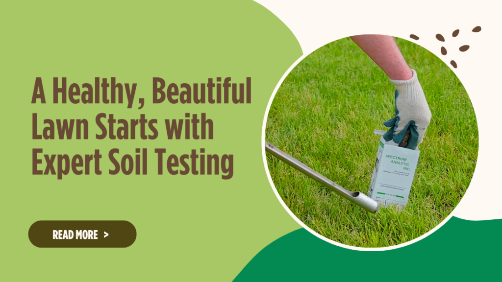 Expert Soil Testing