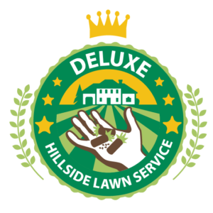 deluxe program icon