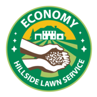 economy program icon