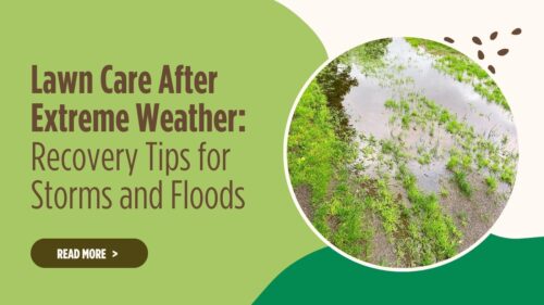 hillside blog about flooded grass