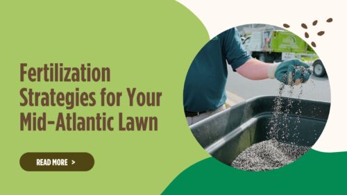 fertilization Strategies with tech holding granuals