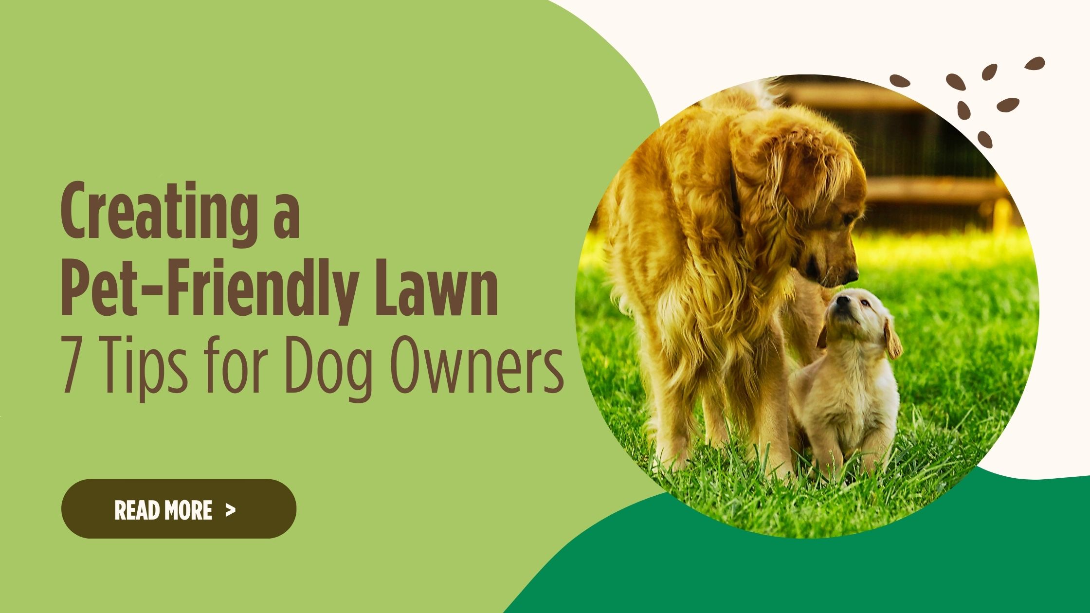 Picture of Pet-Friendly Lawn: 7 Tips for Dog Owners | HillSide Lawn Service