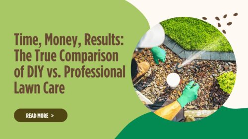 Professional lawn technician working in home owners yard