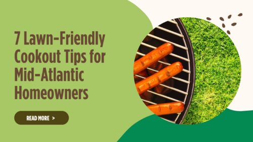 HillSide lawn care and cookout tips