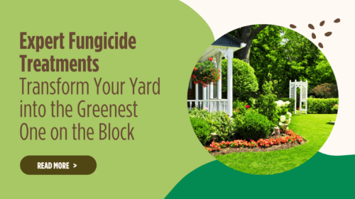 expert fungicide treatment blog graphic