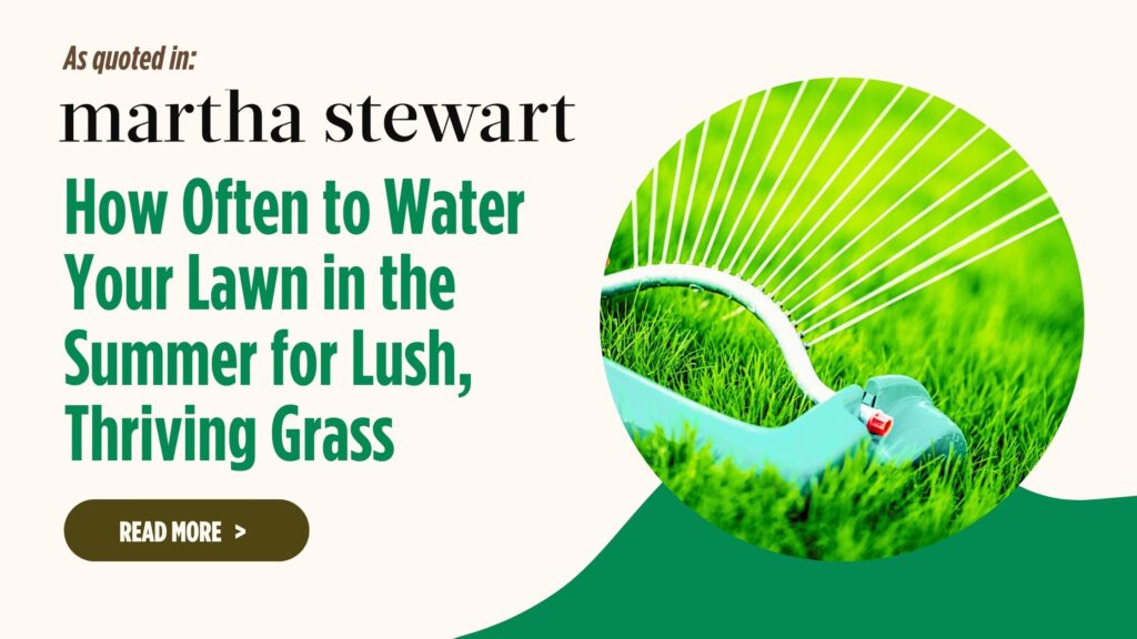 How Often to Water Your Lawn in the Summer for Lush, Thriving Grass