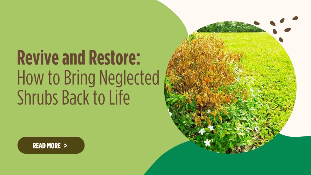 hillside helps fix neglected shrubs