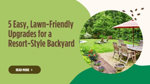 5 Easy, Lawn-Friendly Upgrades for a Resort-Style Backyard