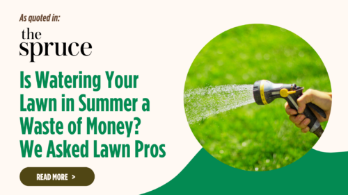 Is Watering Your Lawn in Summer a Waste of Money? We Asked Lawn Pros