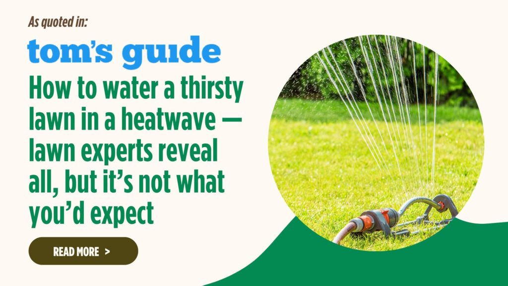 How to water a thirsty lawn in a heatwave — lawn experts reveal all, but it’s not what you’d expect