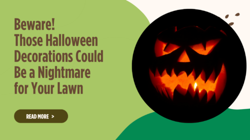 Beware! Those Halloween Decorations Could Be a Nightmare for Your Lawn