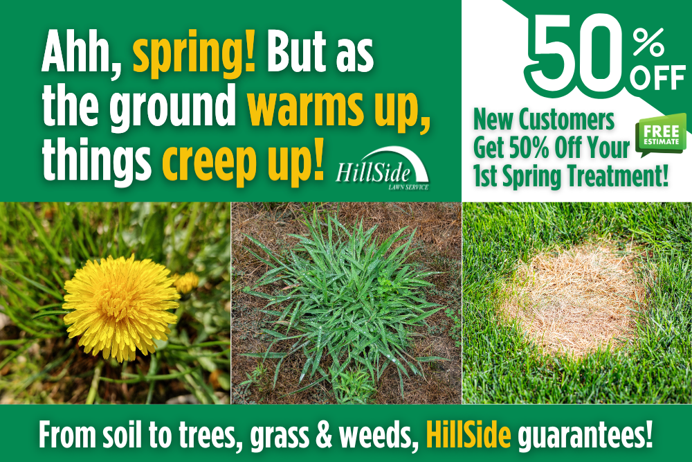 50% off first treatment