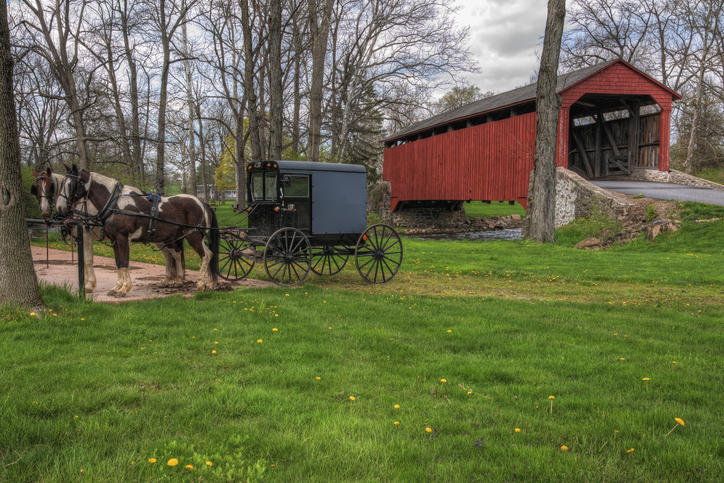Amish Buggy Parked by Covered Bridge in PA