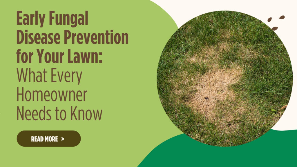 Early Fungal Disease Prevention for Your Lawn
