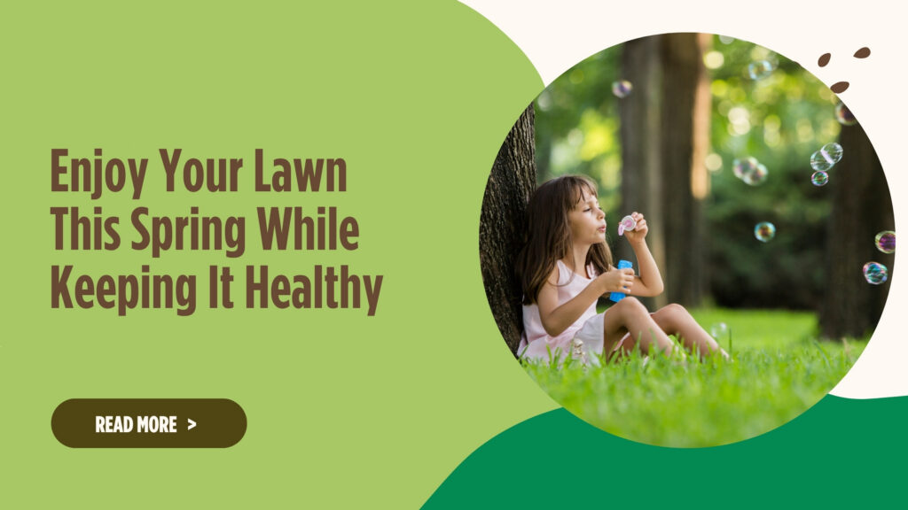 Enjoy Your Lawn This Spring While Keeping It Healthy