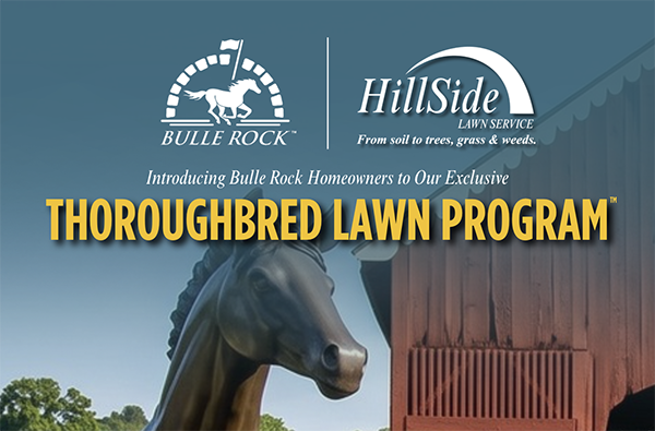 Bulle Rock and HillSide header