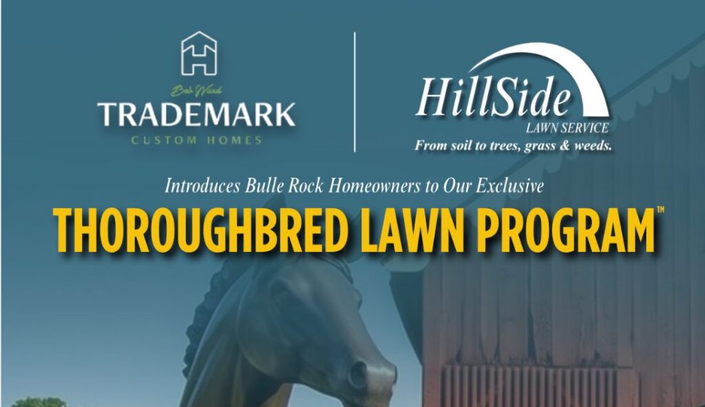Thoroughbred Lawn Program page header