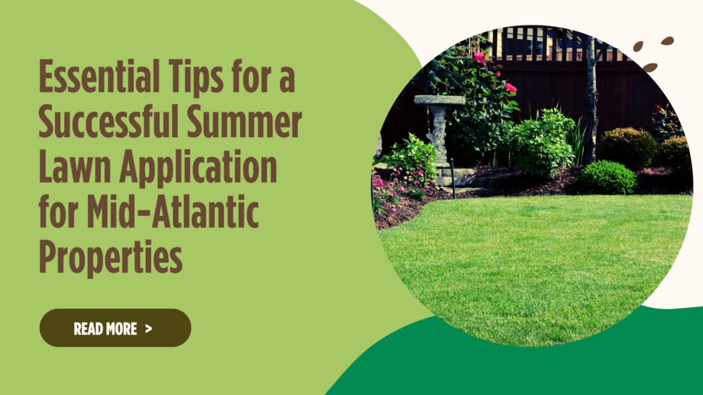 Essential Tips for a Successful Summer Lawn Application for Mid-Atlantic Properties