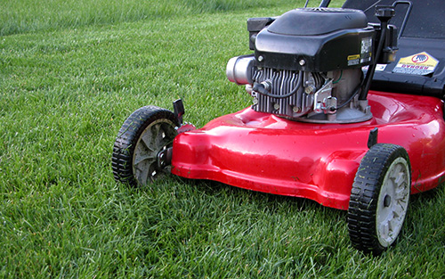 Red Lawn Mower