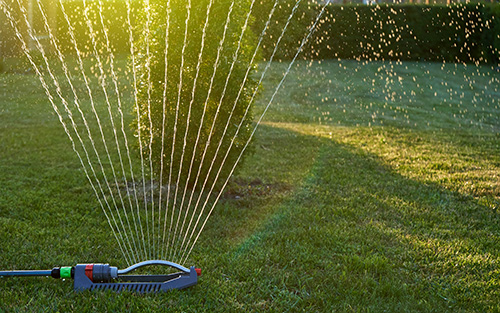 Bright Lawn Sprinkles