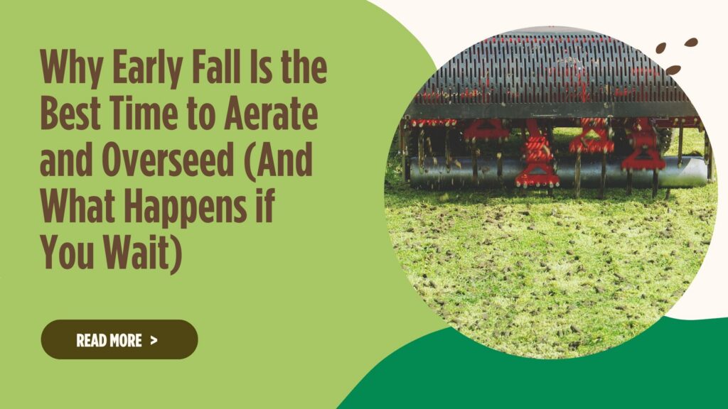 Why Early Fall Is the Best Time to Aerate and Overseed (And What Happens if You Wait)