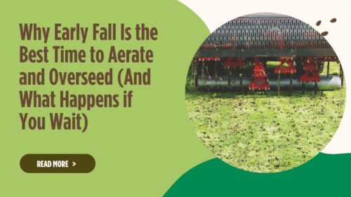 Why Early Fall Is the Best Time to Aerate and Overseed (And What Happens if You Wait)