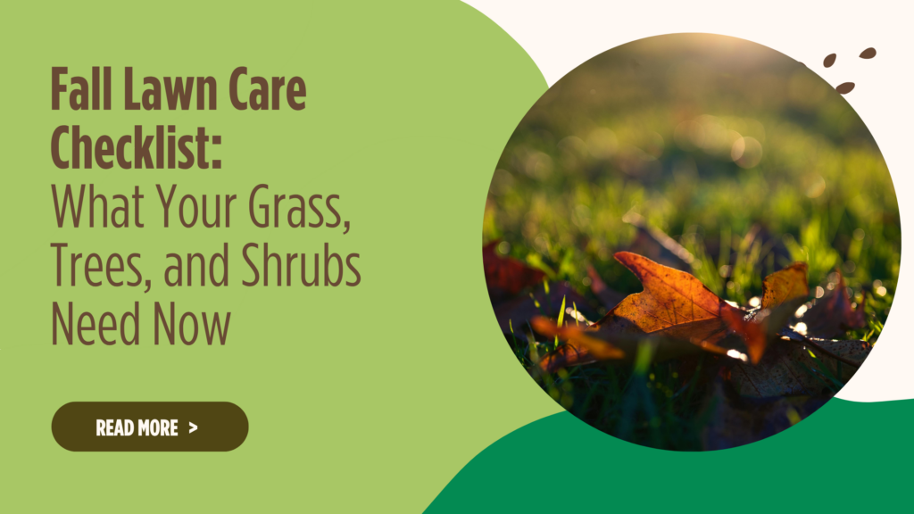 Fall Lawn Care Checklist: What Your Grass, Trees, and Shrubs Need Now
