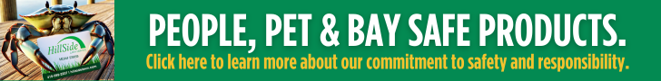 People, pet and Bay Safe leaderboard