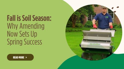 Fall is Soil Season: Why Amending Now Sets Up Spring Success