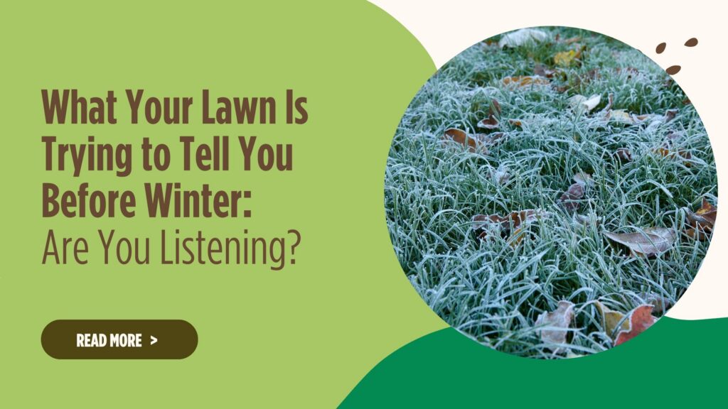 What Your Lawn Is Trying to Tell You Before Winter